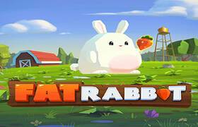 Fat Rabbit