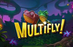 Multifly