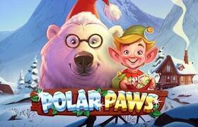 Polar Paws