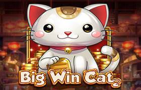 Big Win Cat