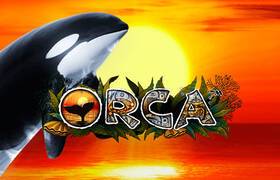 Orca