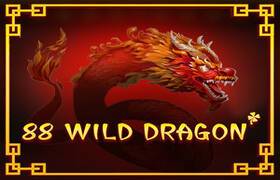 Wild Dragon